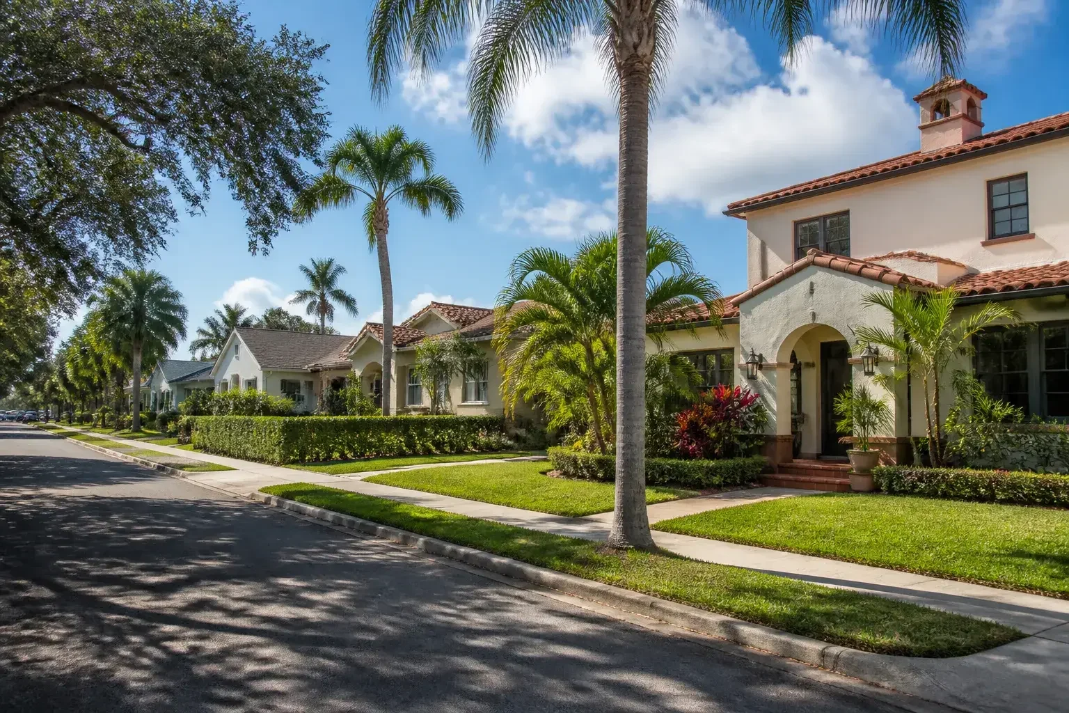 Tampa neighborhood street with palm trees and stucco homes
